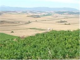 Rioja-streek